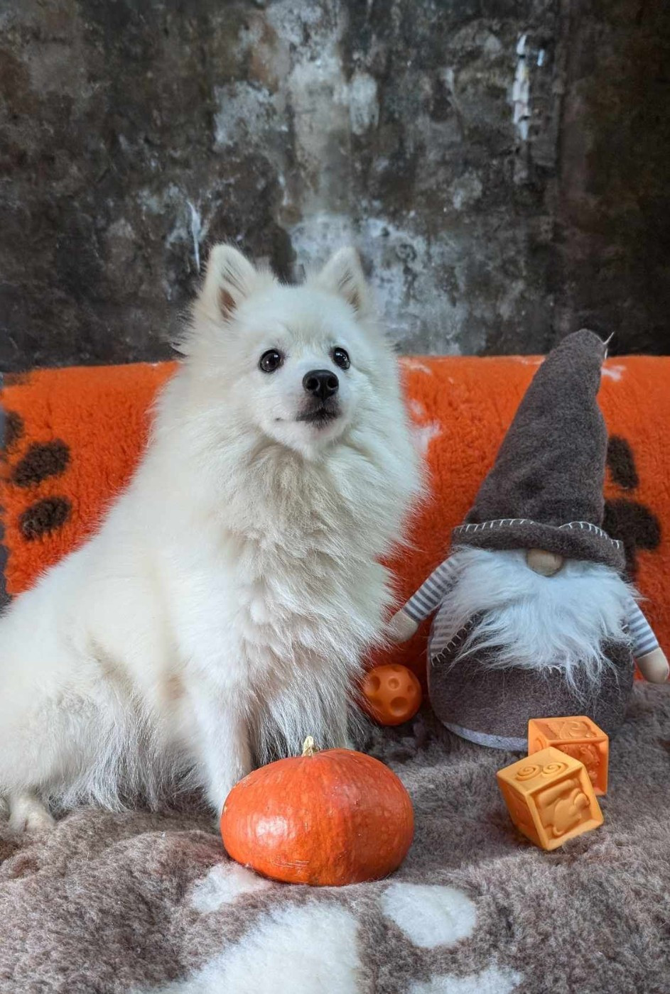 U'tiana Du Royaume De Crystal